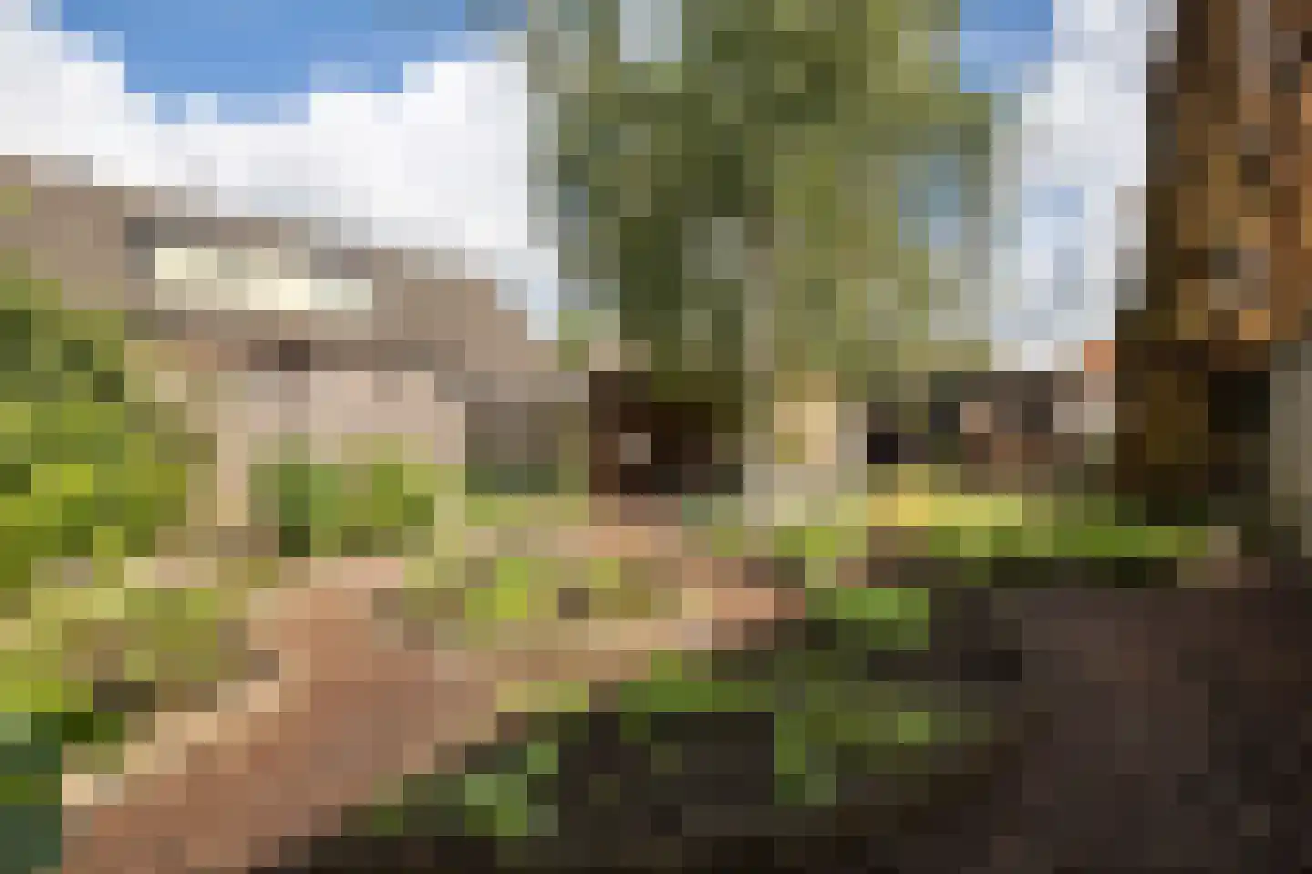Dorpsstraat 36 de Wijk thumbnail 58
