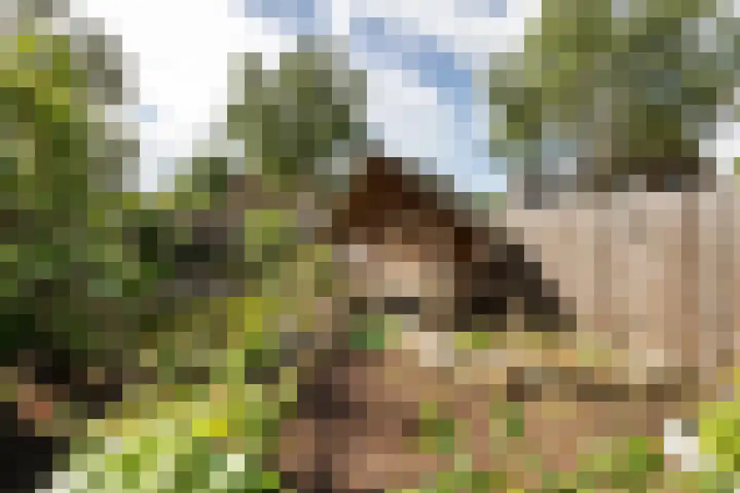 Dorpsstraat 36 de Wijk thumbnail 59