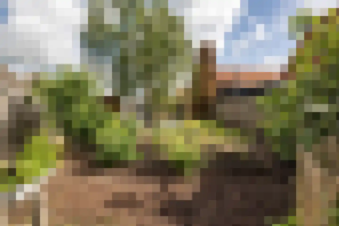 Dorpsstraat 36 de Wijk thumbnail 60
