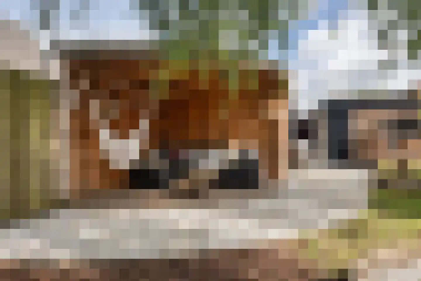 Dorpsstraat 36 de Wijk thumbnail 61