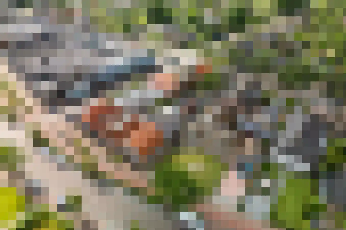 Dorpsstraat 36 de Wijk thumbnail 63