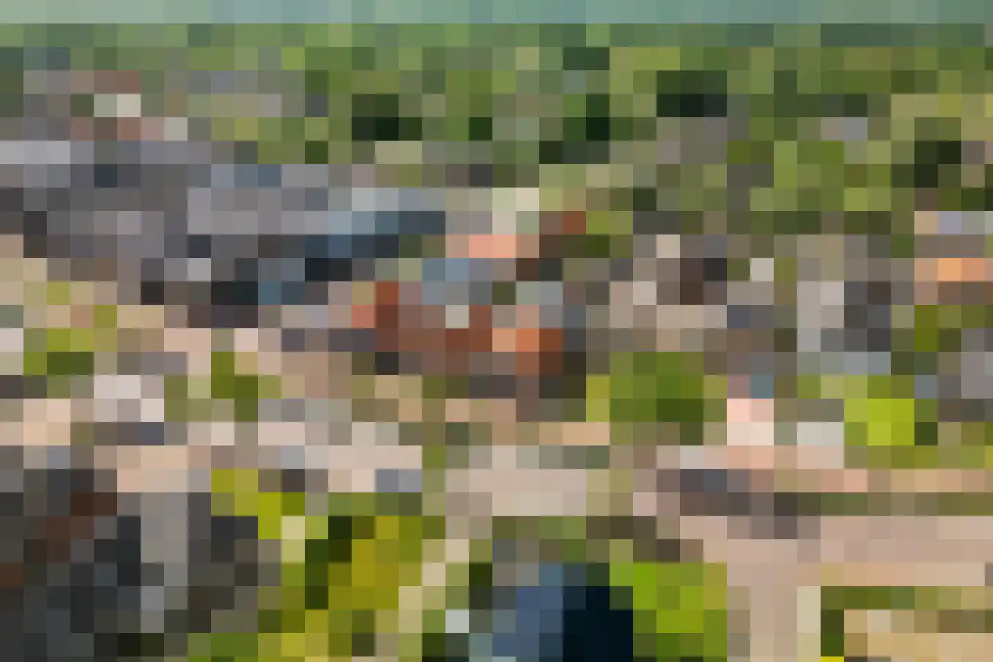 Dorpsstraat 36 de Wijk thumbnail 64