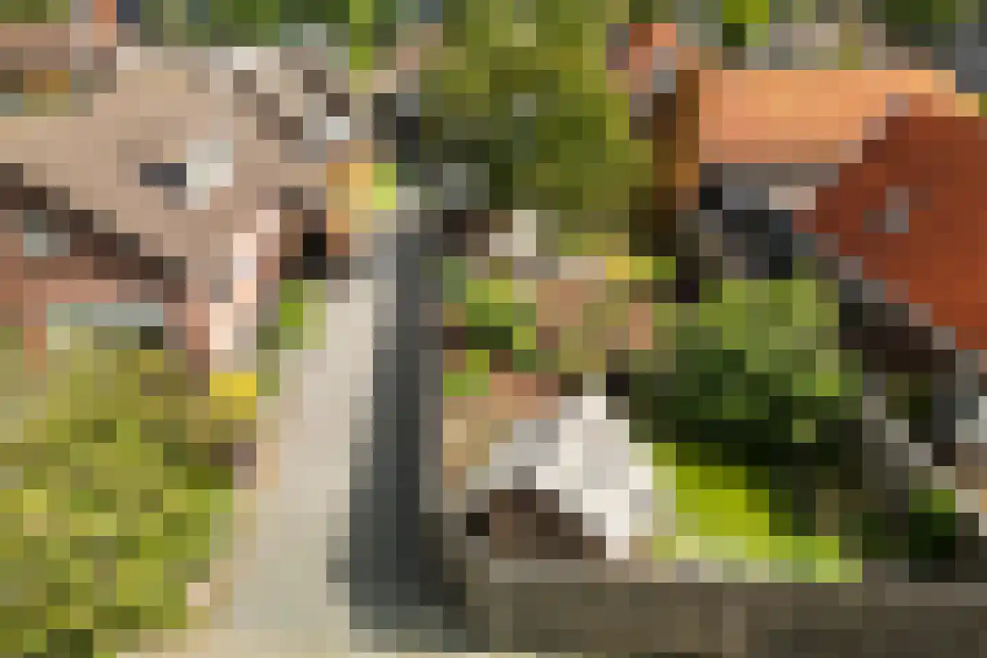 Dorpsstraat 36 de Wijk thumbnail 68