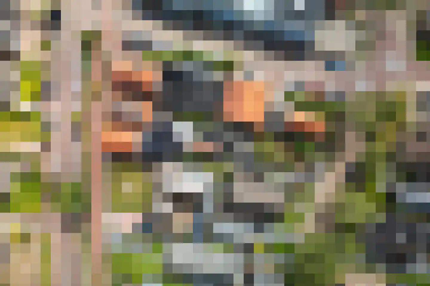 Dorpsstraat 36 de Wijk thumbnail 69