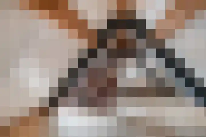 Dorpsstraat 36 Harskamp thumbnail 36