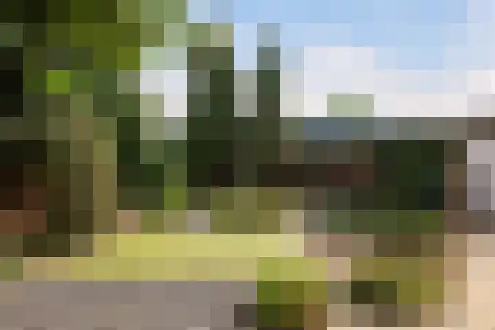 Dorpsstraat 36 Harskamp thumbnail 41