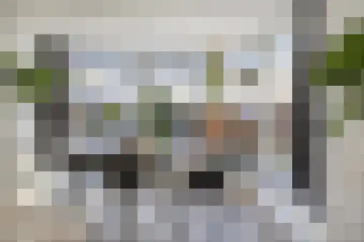 Dorpsstraat 37 Haule thumbnail 12
