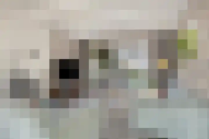 Dorpsstraat 37 Haule thumbnail 13