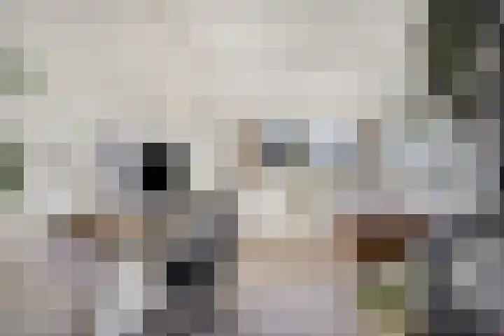 Dorpsstraat 37 Haule thumbnail 18