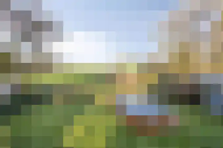 Dorpsstraat 37 Haule thumbnail 33