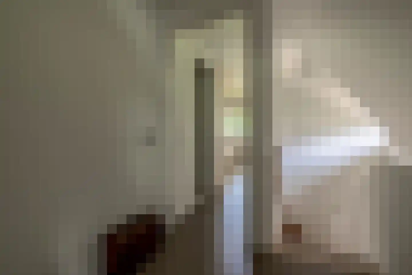 Dorpsstraat 37 Havelte thumbnail 29