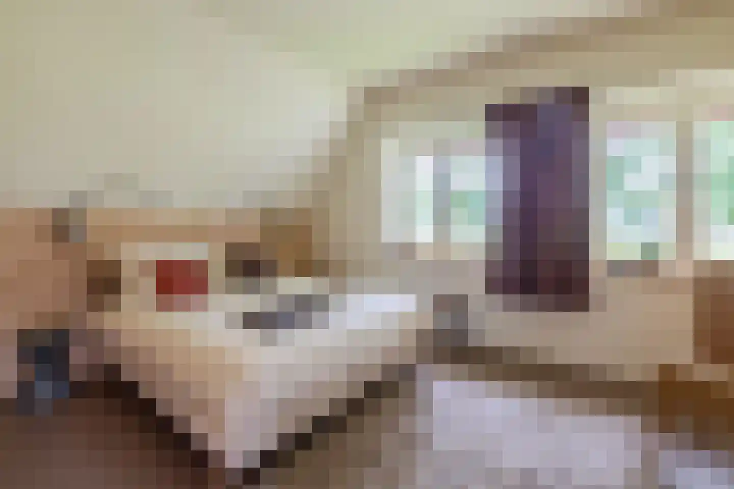 Dorpsstraat 37 Havelte thumbnail 33