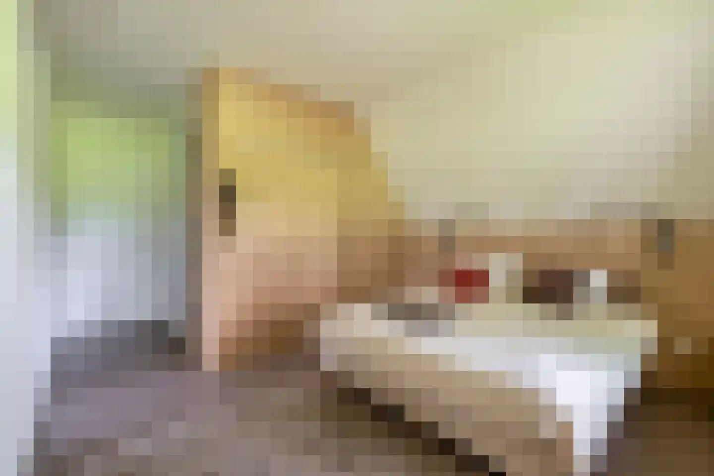 Dorpsstraat 37 Havelte thumbnail 34