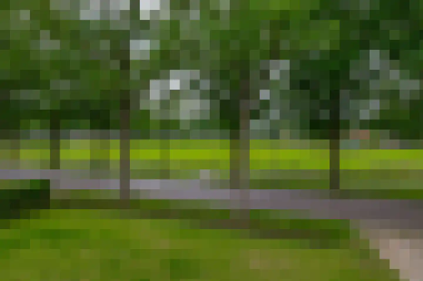 Dorpsstraat 37 Havelte thumbnail 52