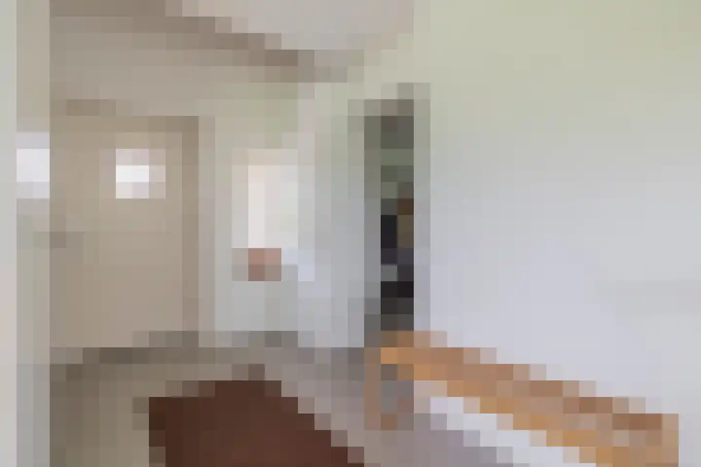Dorpsstraat 37 Havelte thumbnail 8