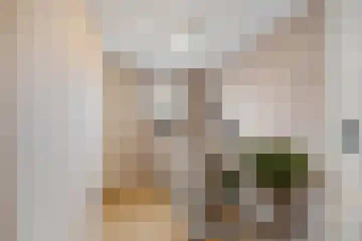 Dorpsstraat 37 Valkenswaard thumbnail 16