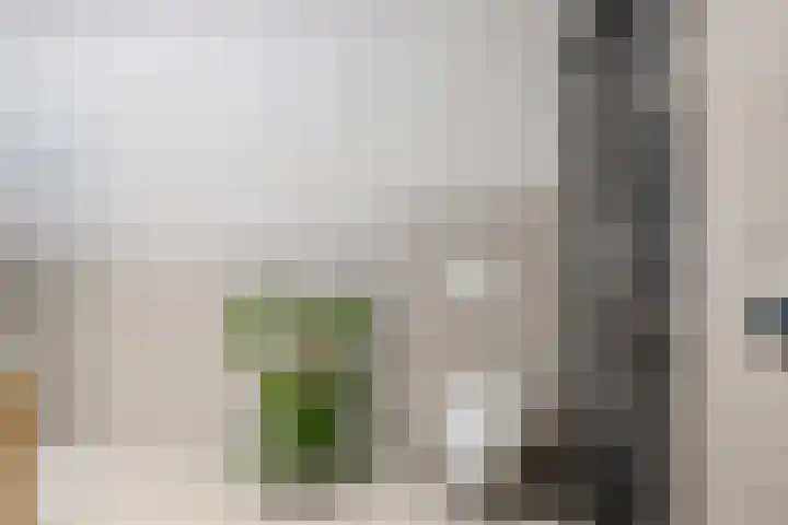 Dorpsstraat 37 Valkenswaard thumbnail 24