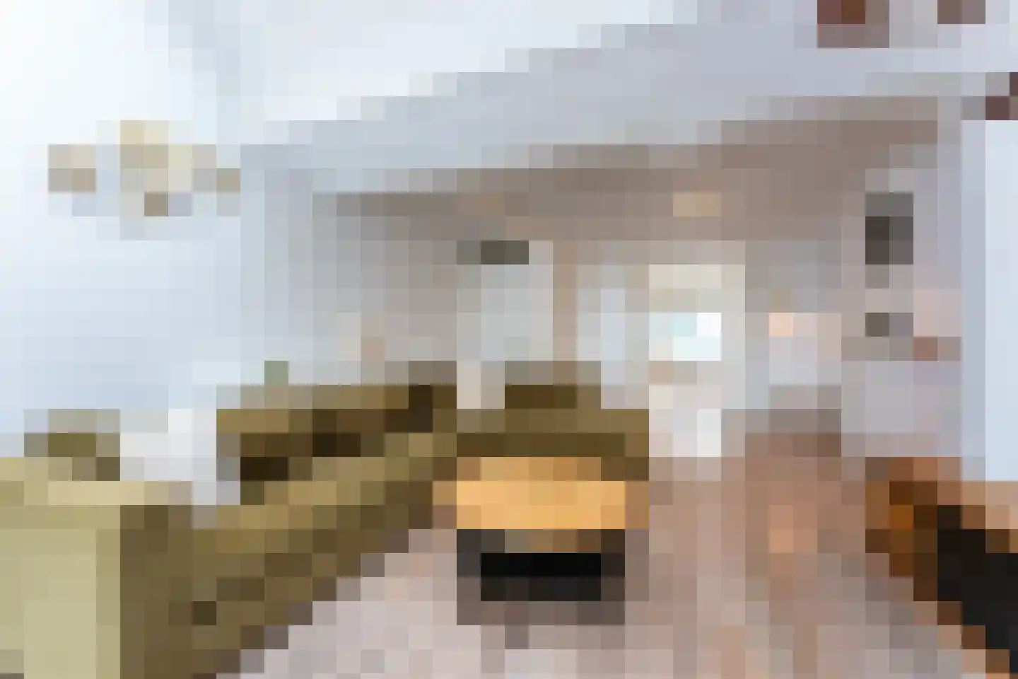 Dorpsstraat 37 Zuidzande thumbnail 11