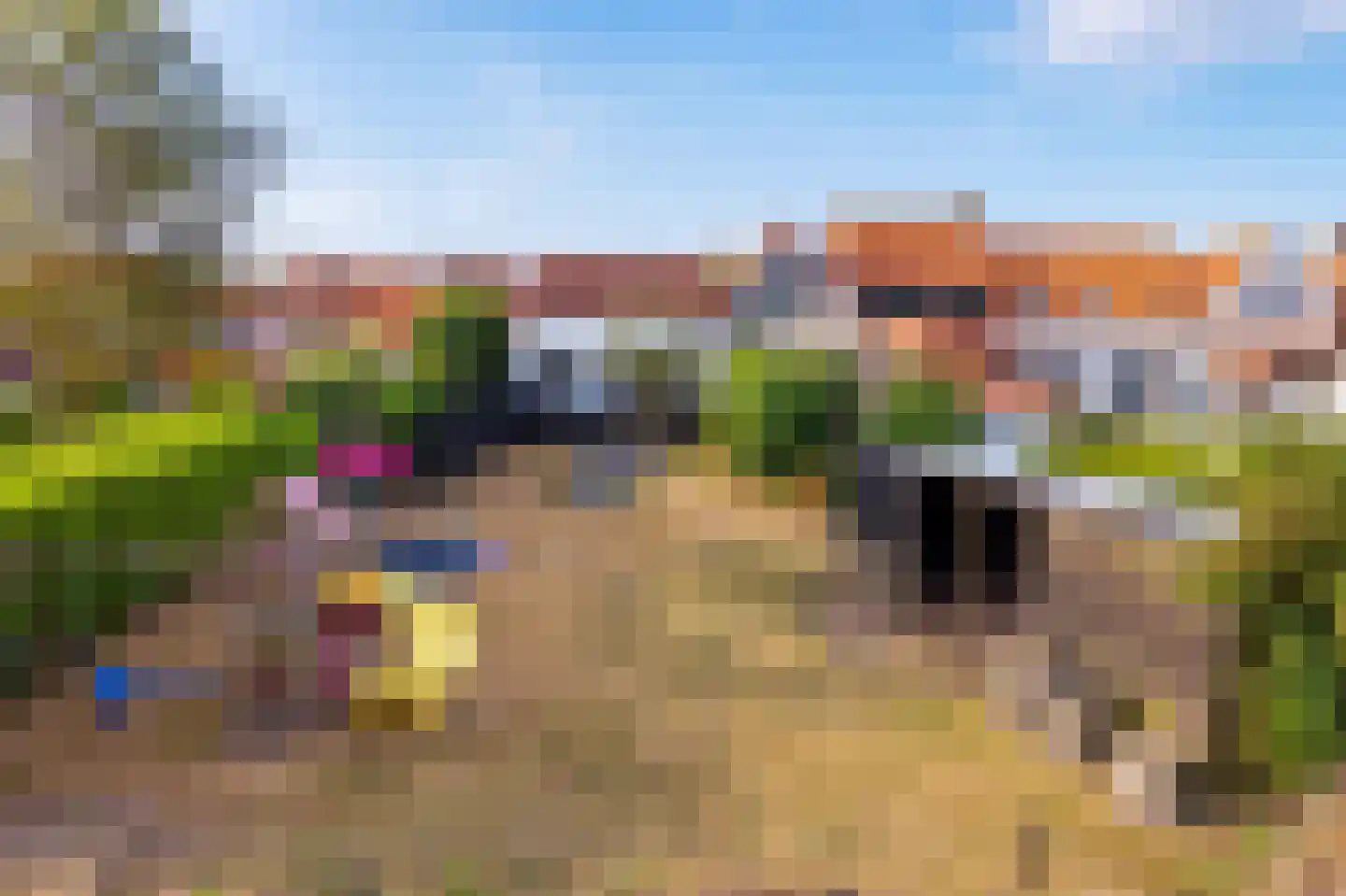 Dorpsstraat 37 Zuidzande thumbnail 29