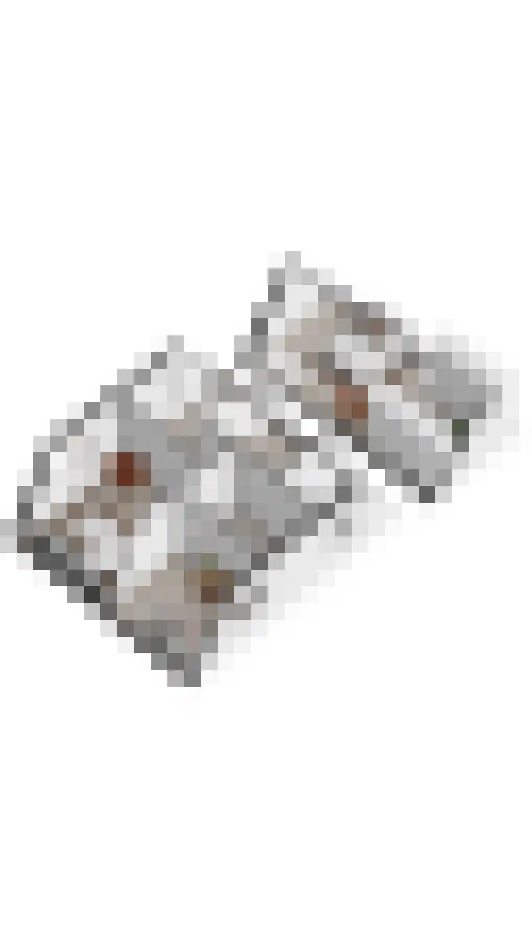 Dorpsstraat 37 Zuidzande thumbnail 34