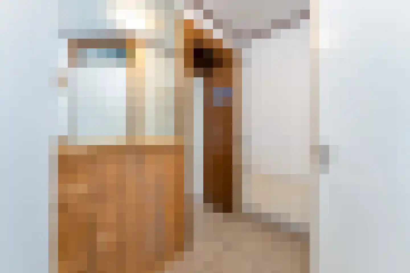 Dorpsstraat 37 Zuidzande thumbnail 7