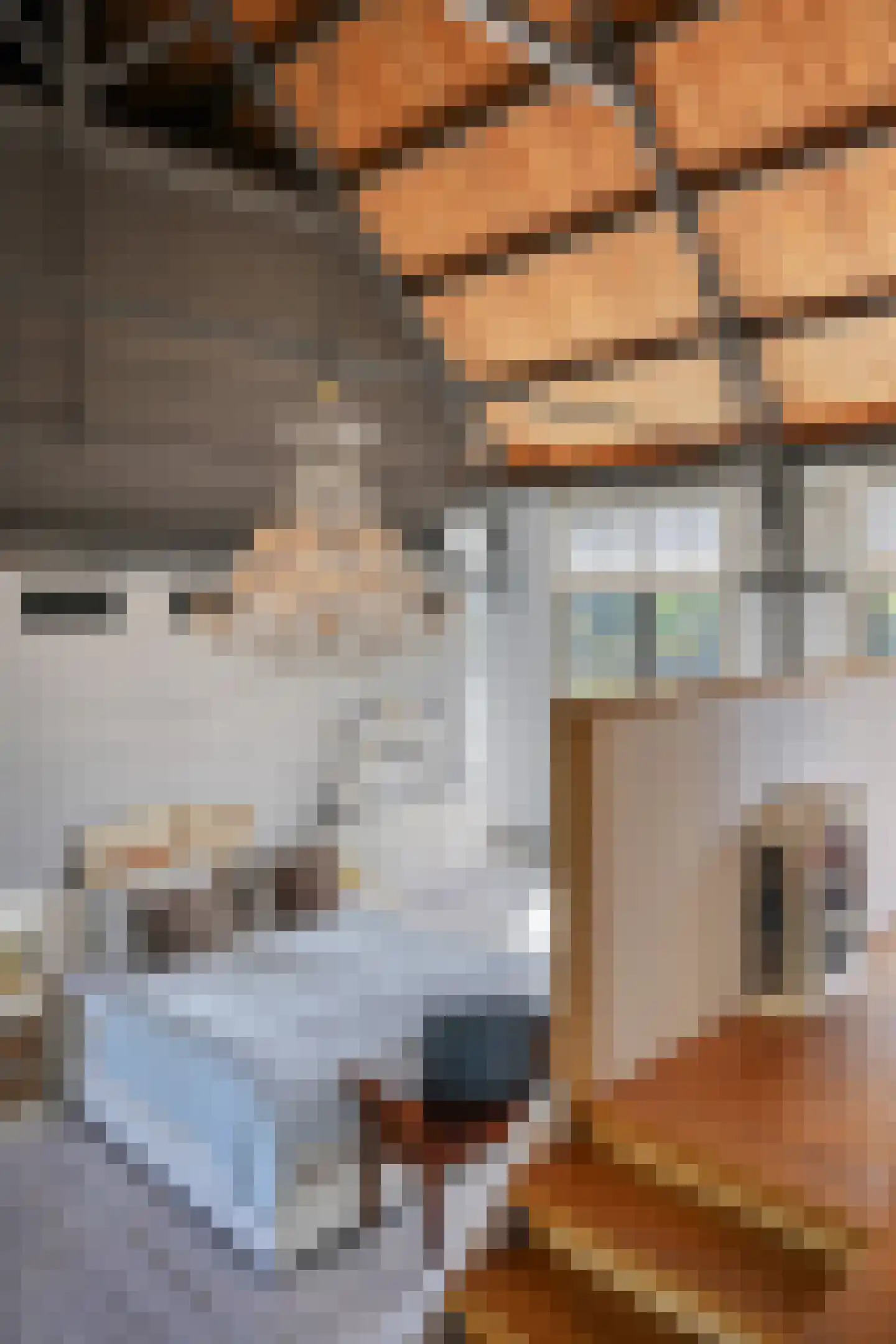 Dorpsstraat 38 Capelle aan den IJssel thumbnail 19