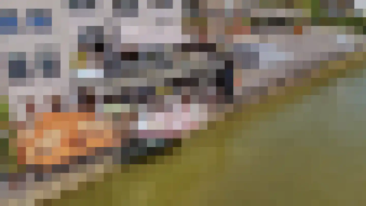 Dorpsstraat 38 Capelle aan den IJssel thumbnail 34