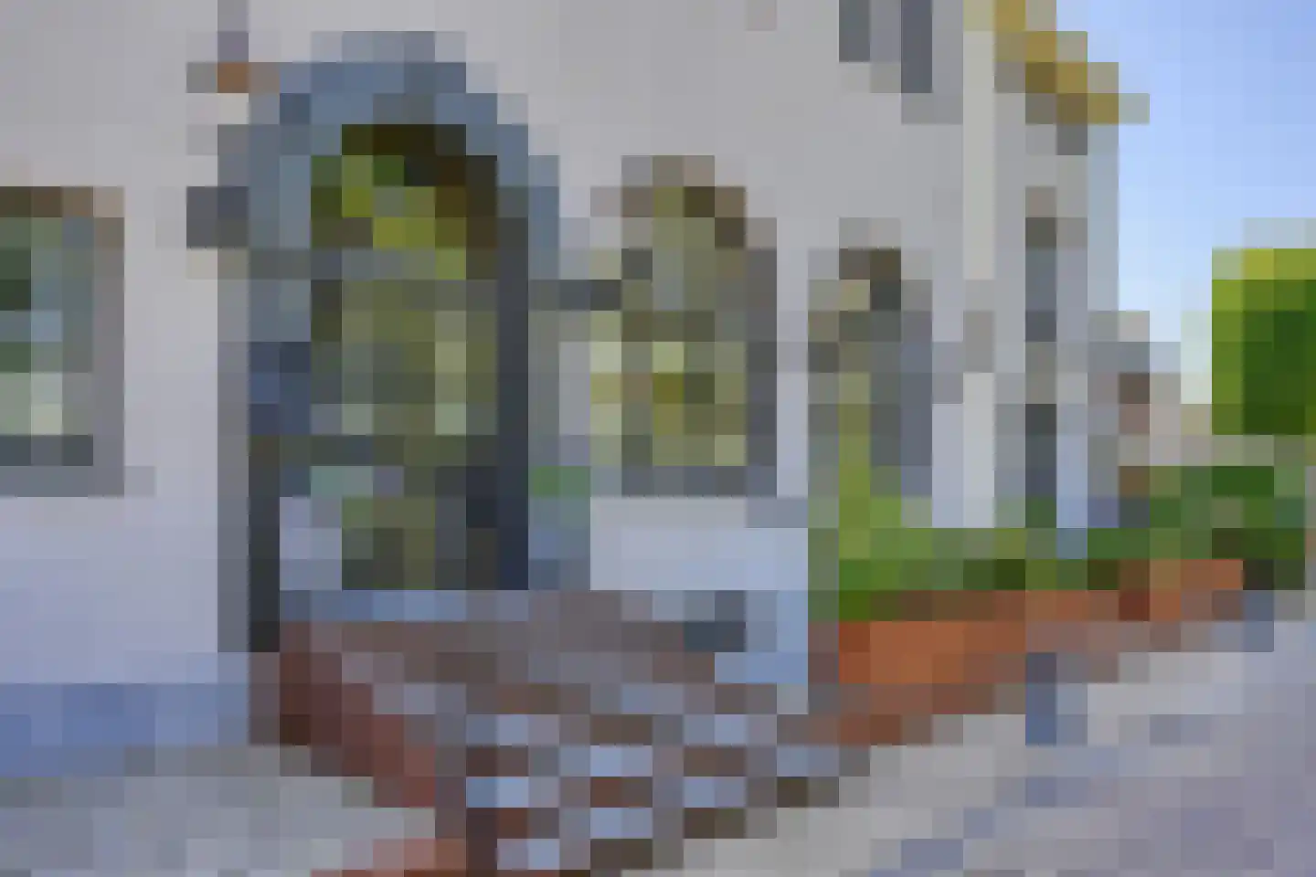 Dorpsstraat 38 Capelle aan den IJssel thumbnail 35