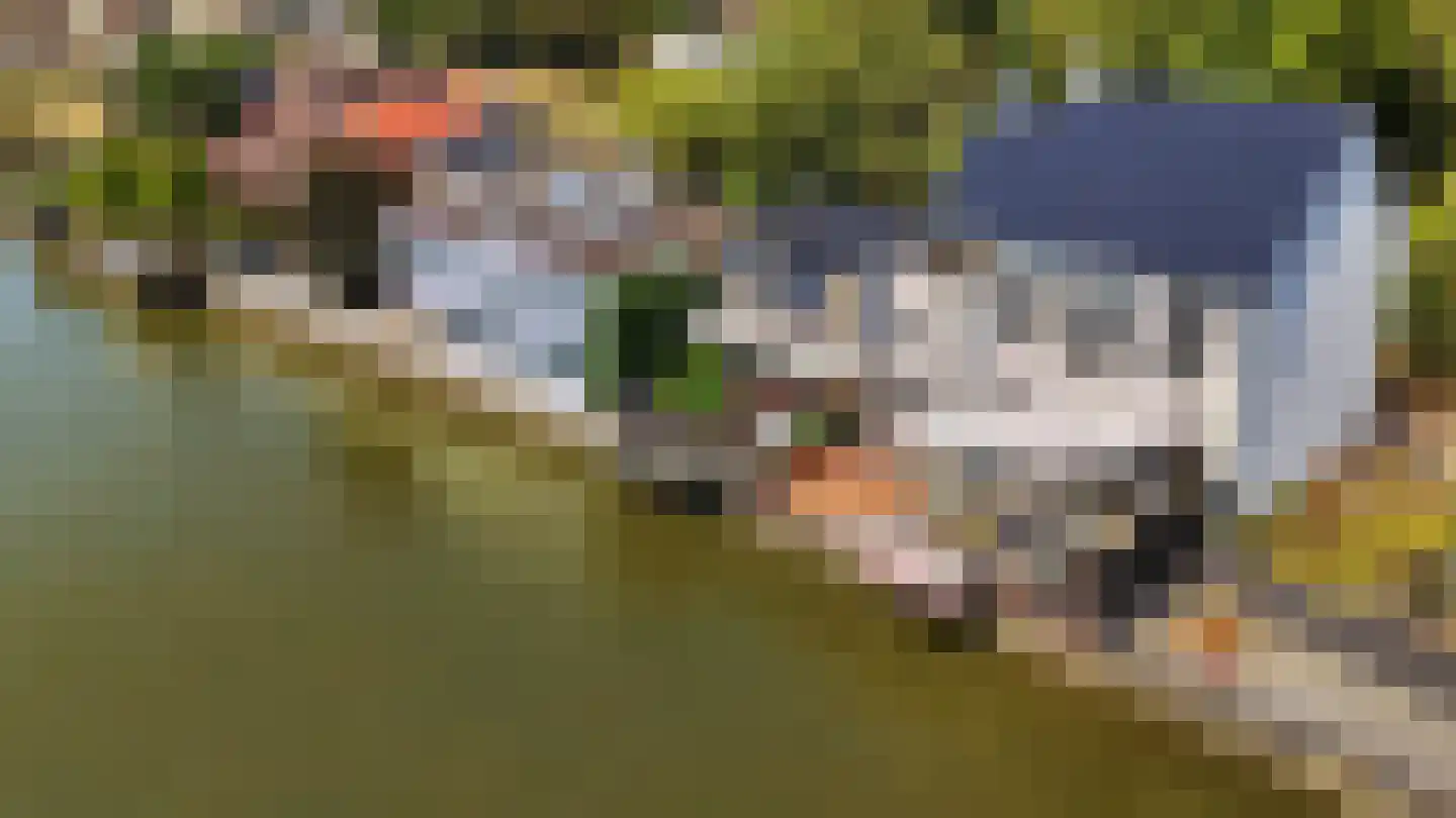 Dorpsstraat 38 Capelle aan den IJssel thumbnail 37