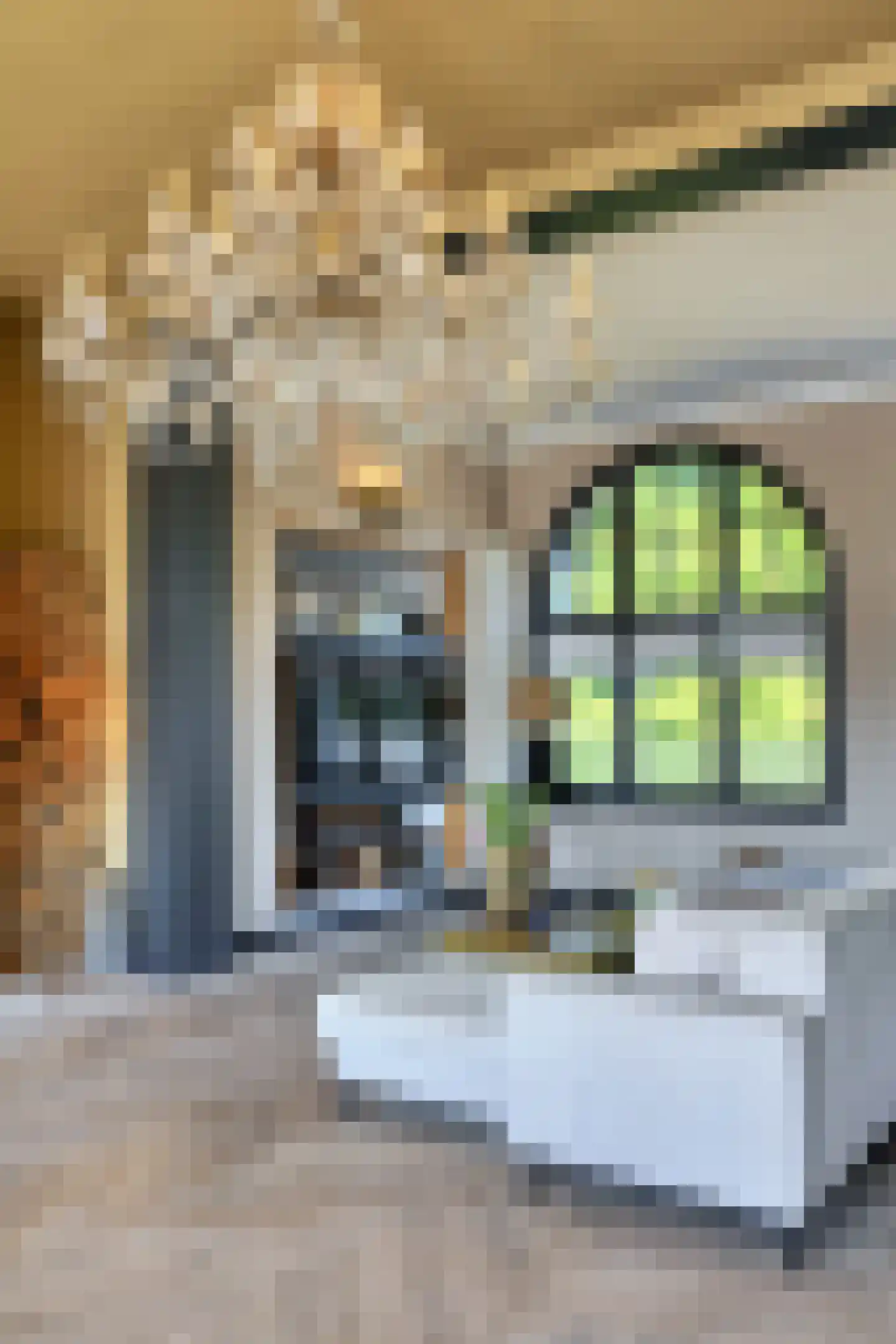 Dorpsstraat 38 Capelle aan den IJssel thumbnail 7
