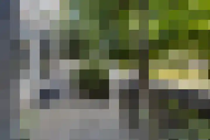 Dorpsstraat 38 Lienden thumbnail 10