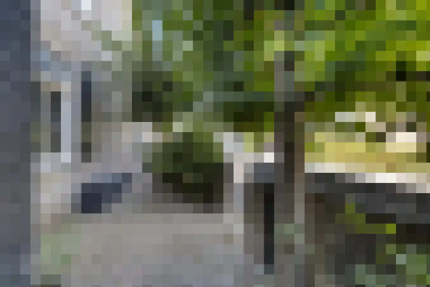 Dorpsstraat 38 Lienden thumbnail 10
