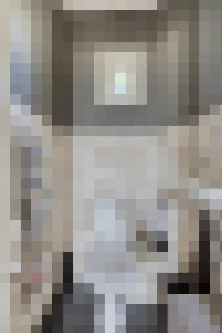 Dorpsstraat 38 Lienden thumbnail 15