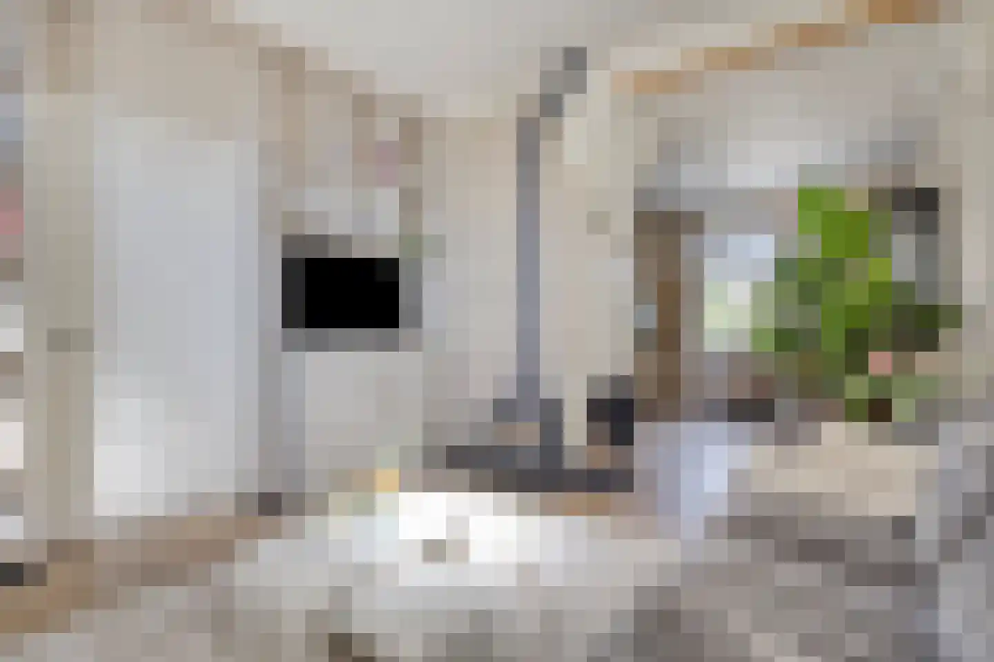 Dorpsstraat 38 Lienden thumbnail 21
