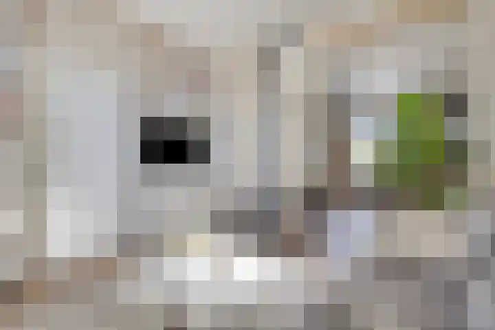 Dorpsstraat 38 Lienden thumbnail 21