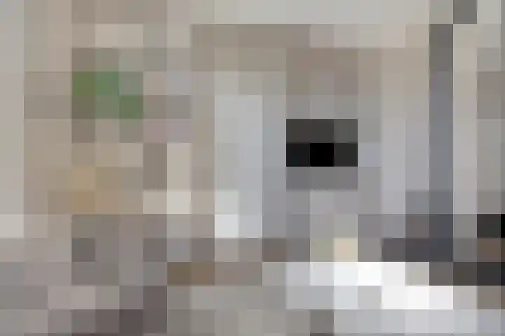 Dorpsstraat 38 Lienden thumbnail 22