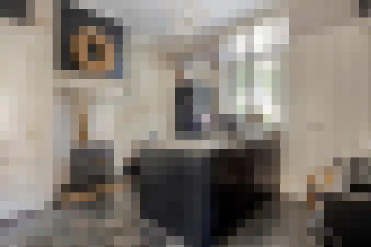 Dorpsstraat 38 Lienden thumbnail 30