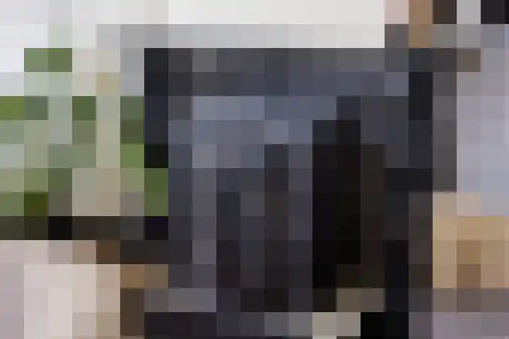 Dorpsstraat 38 Lienden thumbnail 35
