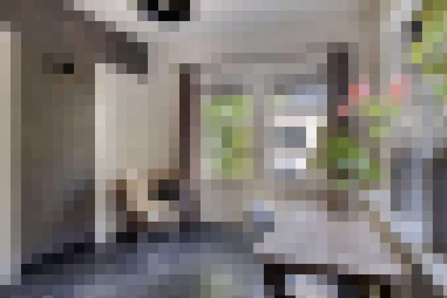 Dorpsstraat 38 Lienden thumbnail 37
