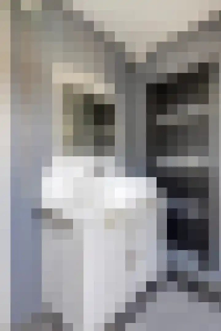 Dorpsstraat 38 Lienden thumbnail 48