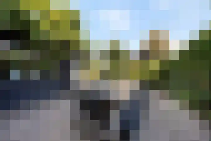Dorpsstraat 38 Lienden thumbnail 5