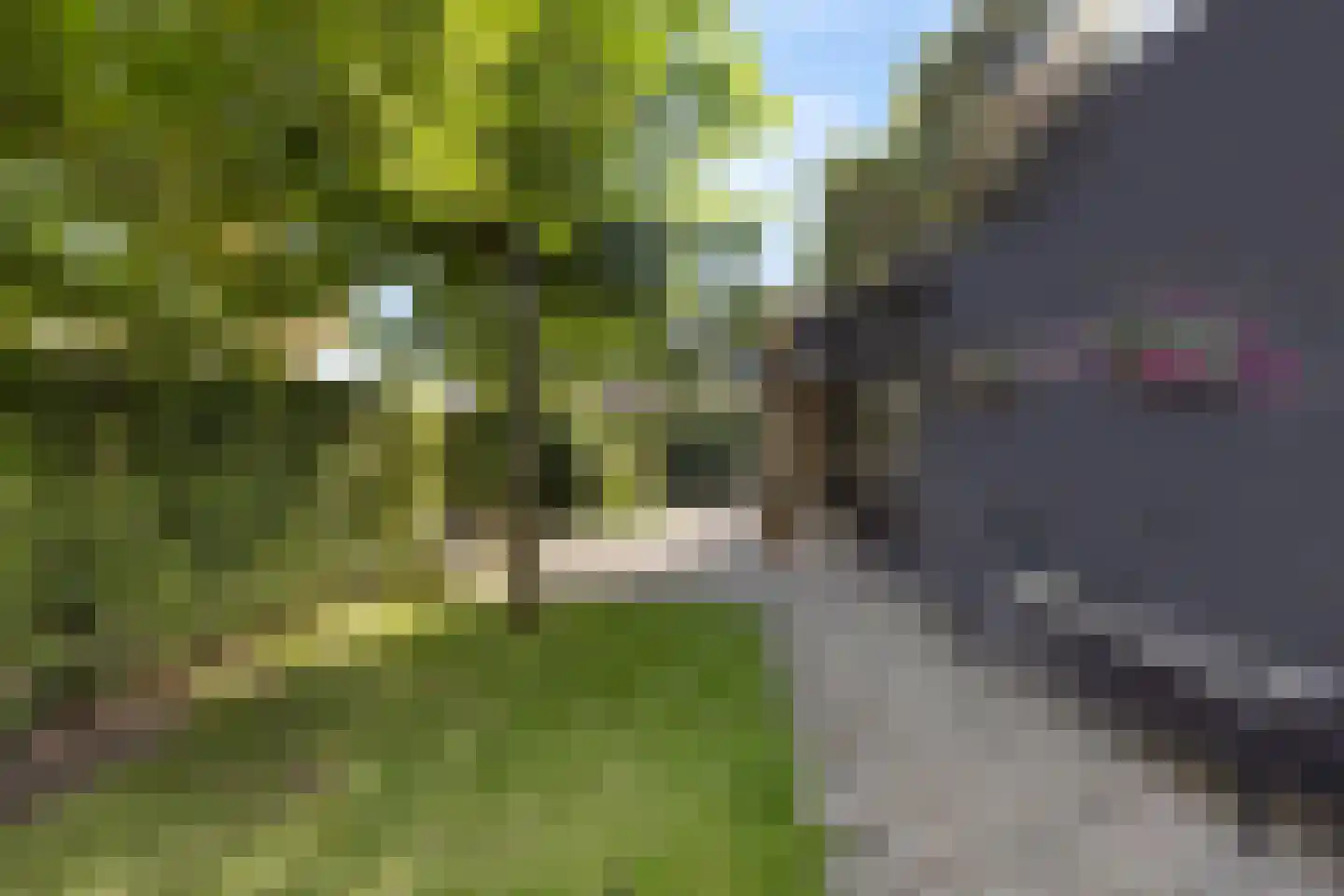 Dorpsstraat 38 Lienden thumbnail 66