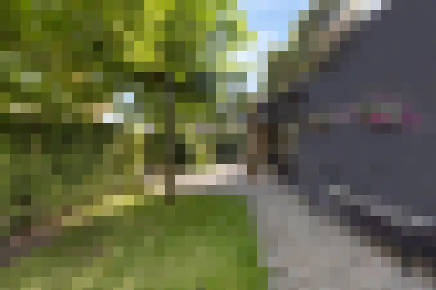 Dorpsstraat 38 Lienden thumbnail 66