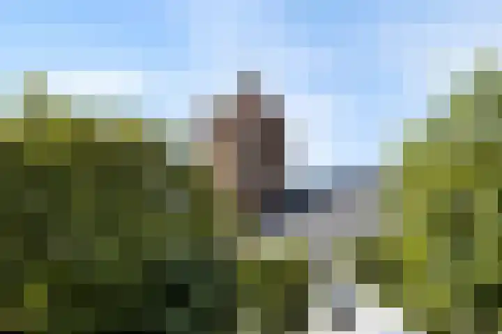 Dorpsstraat 38 Lienden thumbnail 67