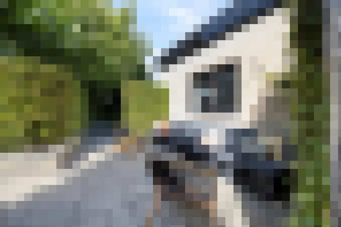 Dorpsstraat 38 Lienden thumbnail 70