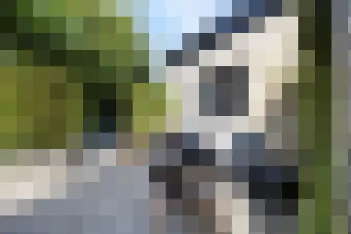 Dorpsstraat 38 Lienden thumbnail 70
