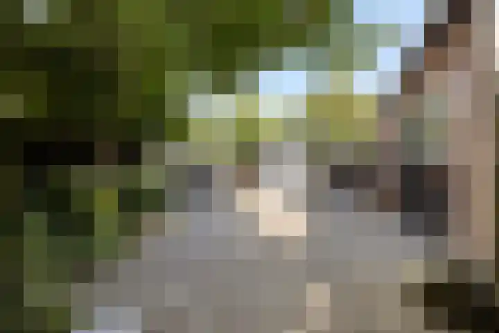 Dorpsstraat 38 Lienden thumbnail 71