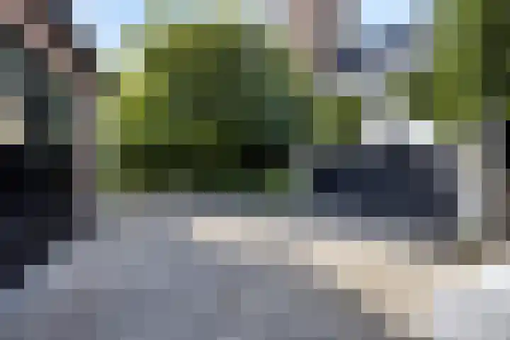 Dorpsstraat 38 Lienden thumbnail 73