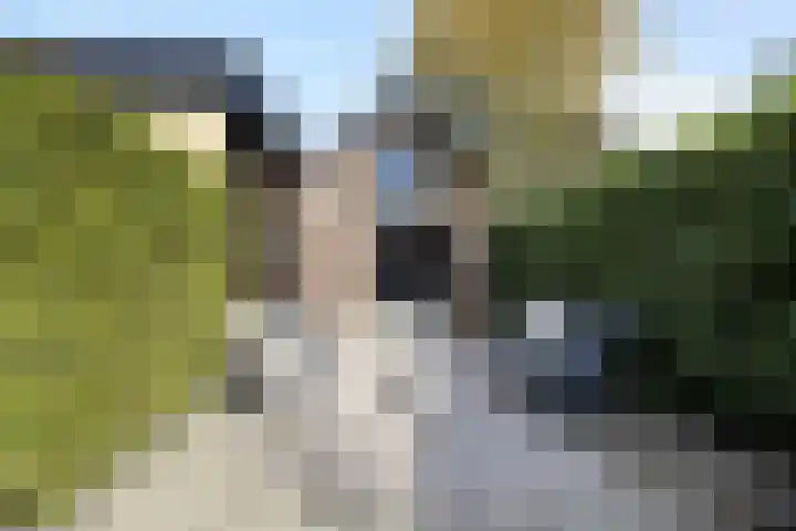 Dorpsstraat 38 Lienden thumbnail 74