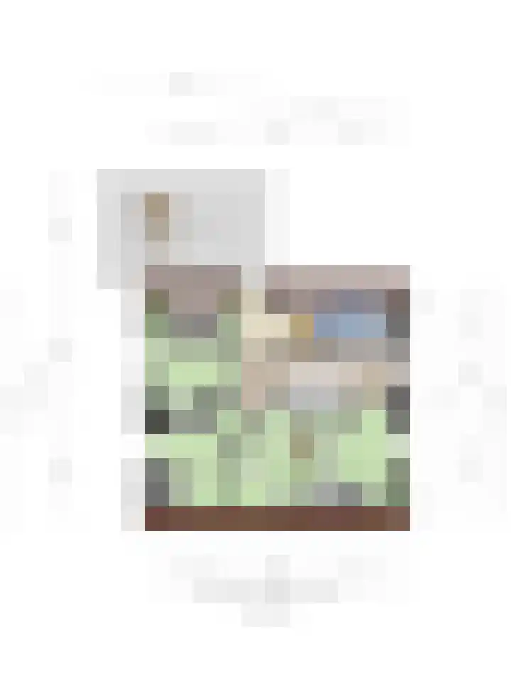 Dorpsstraat 38 Lienden thumbnail 86